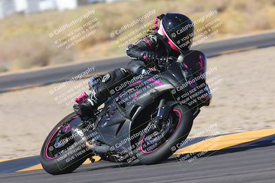 media/Nov-11-2023-SoCal Trackdays (Sat) [[efd63766ff]]/Turn 16 (11am)/